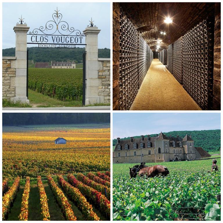 Datcha Bourguignonne Beaune Beaune  Exterior foto